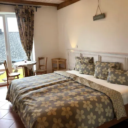 U Svateho Prokopa Guest house 3*