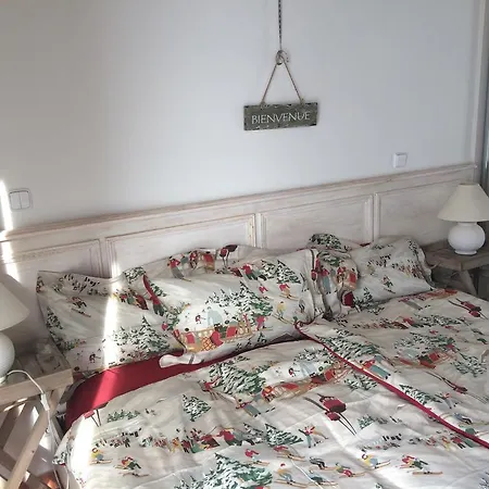 U Svateho Prokopa Guest house 3*