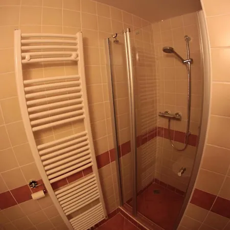 U Svateho Prokopa Guest house Bozi Dar