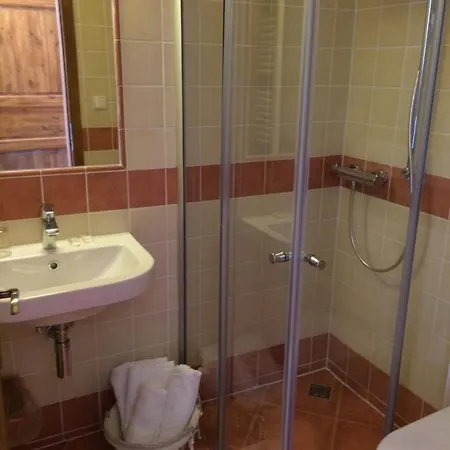 U Svateho Prokopa Guest house 3*