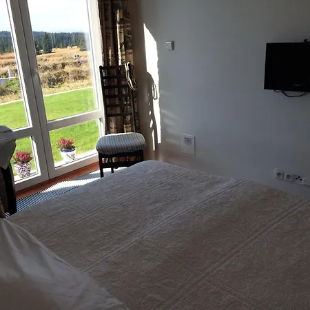 U Svateho Prokopa Guest house 3*