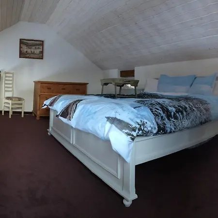 U Svateho Prokopa Guest house 3*